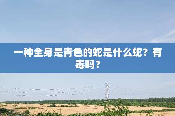 一种全身是青色的蛇是什么蛇？有毒吗？