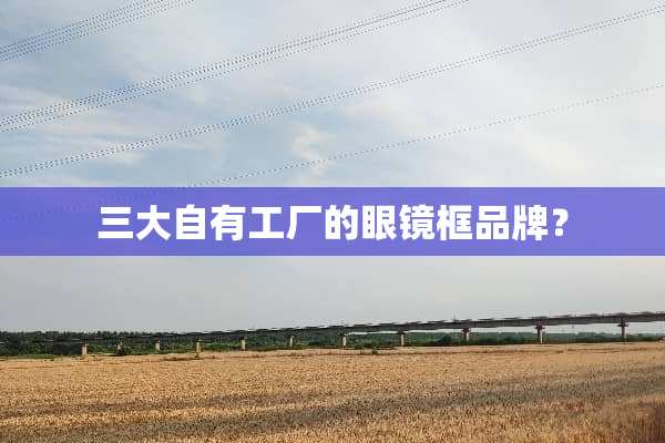 三大自有工厂的眼镜框品牌？