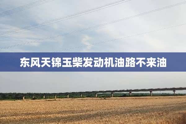 东风天锦玉柴发动机油路不来油
