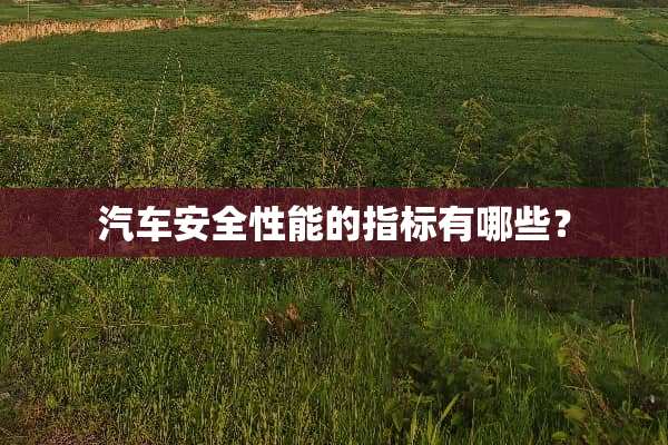 汽车安全性能的指标有哪些？