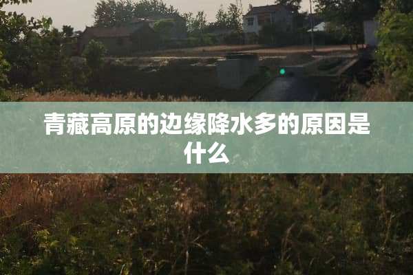 青藏高原的边缘降水多的原因是什么