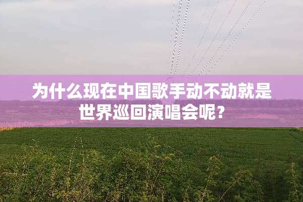 为什么现在中**手动不动就是世界巡回演唱会呢？