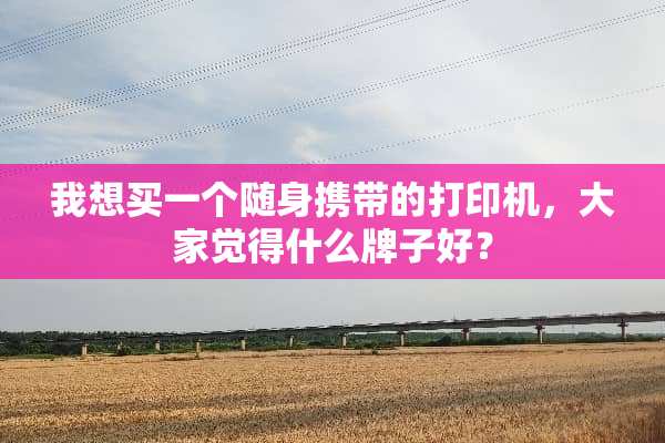 我想买一个随身携带的打印机，大家觉得什么牌子好？