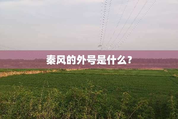 秦风的外号是什么？