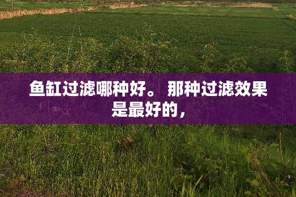 鱼缸过滤哪种好。 那种过滤效果是最好的，