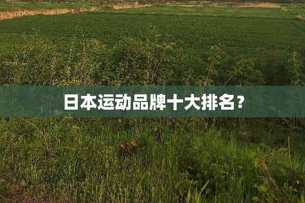 日本运动品牌十大排名？