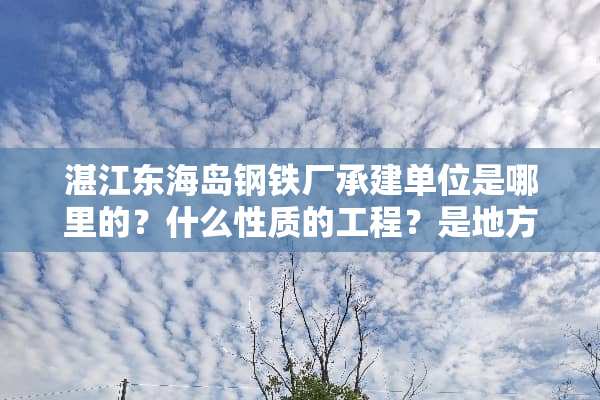 湛江东海岛钢铁厂承建单位是哪里的？什么性质的工程？是地方工程还是国家投资？