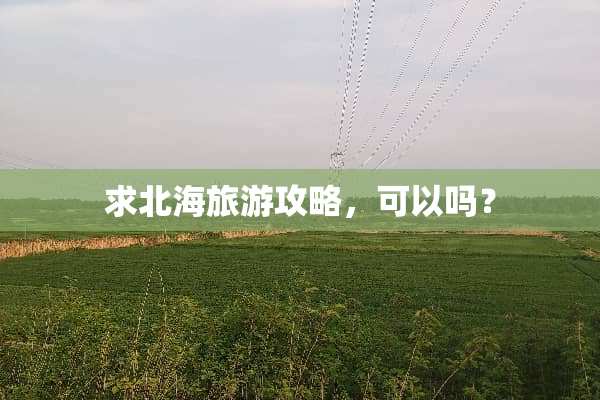 求北海旅游攻略，可以吗？