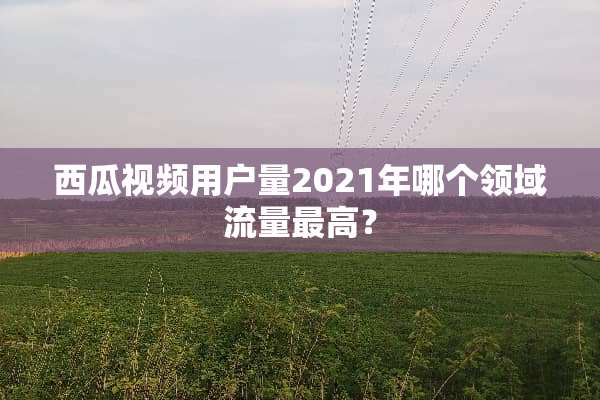 西瓜视频用户量2021年哪个领域流量最高？