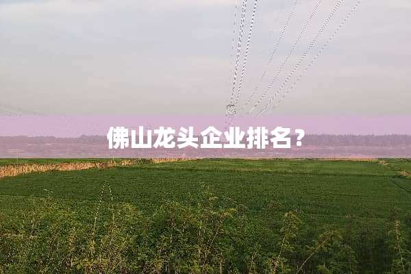 佛山龙头企业排名？