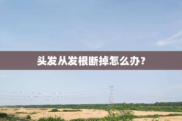 头发从发根断掉怎么办？