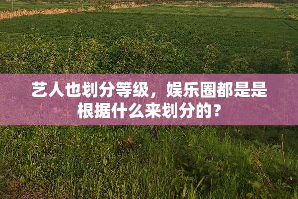艺人也划分等级，娱乐圈都是是根据什么来划分的？