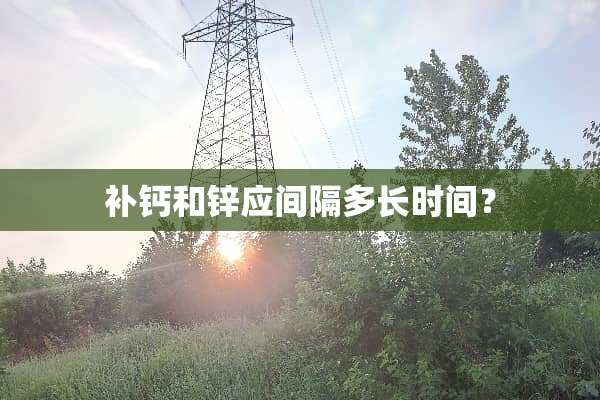 补钙和锌应间隔多长时间？