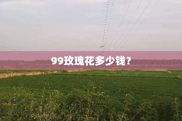 99玫瑰花多少钱？