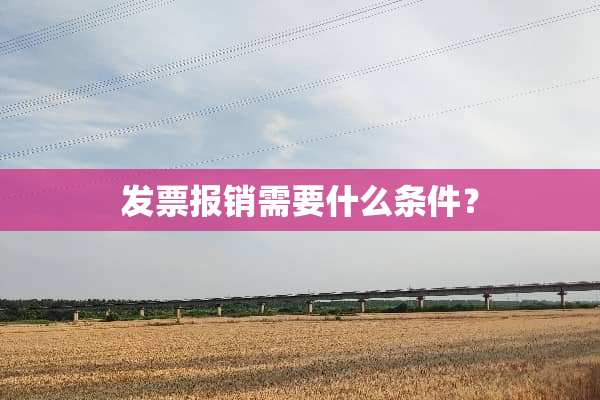 **报销需要什么条件？