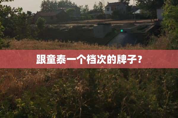 跟童泰一个档次的牌子？