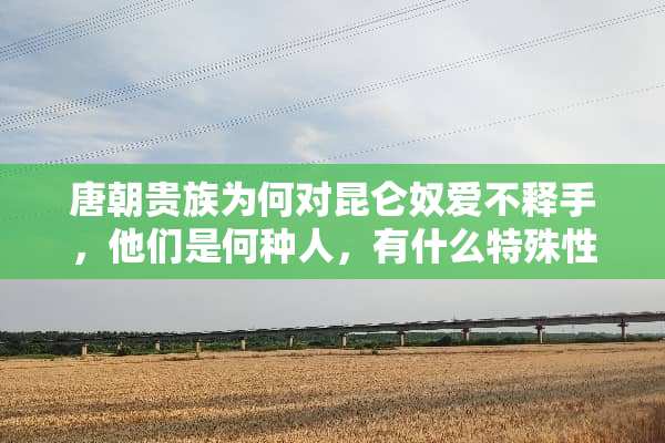唐朝贵族为何对昆仑*爱不释手，他们是何种人，有什么特殊性？