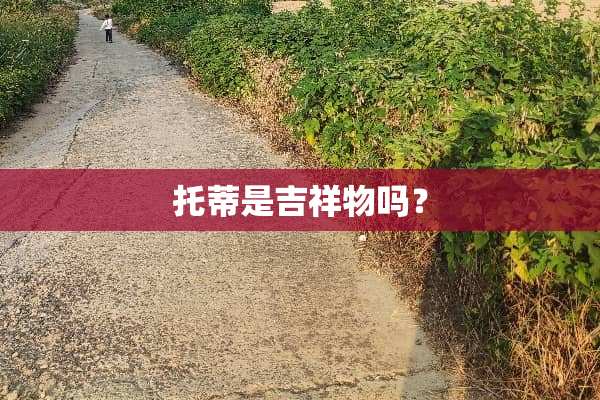 托蒂是吉祥物吗？