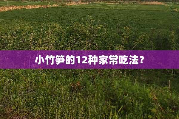小竹笋的12种家常吃法？