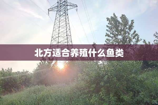 北方适合养殖什么鱼类
