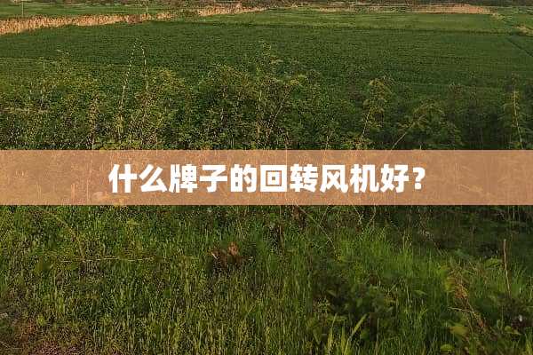 什么牌子的回转风机好？