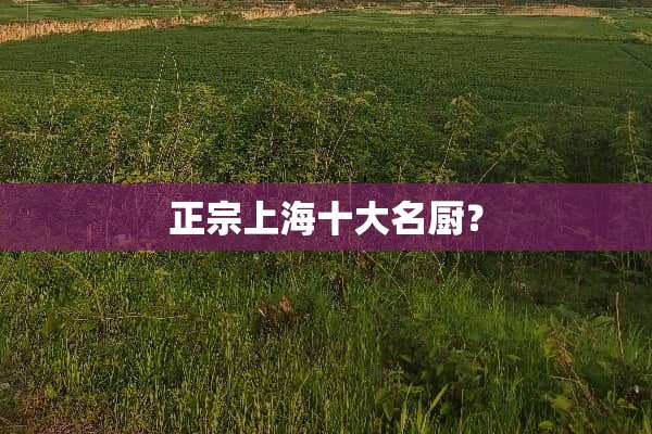 正宗上海十大名厨？
