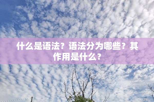 什么是语法？语法分为哪些？其作用是什么？