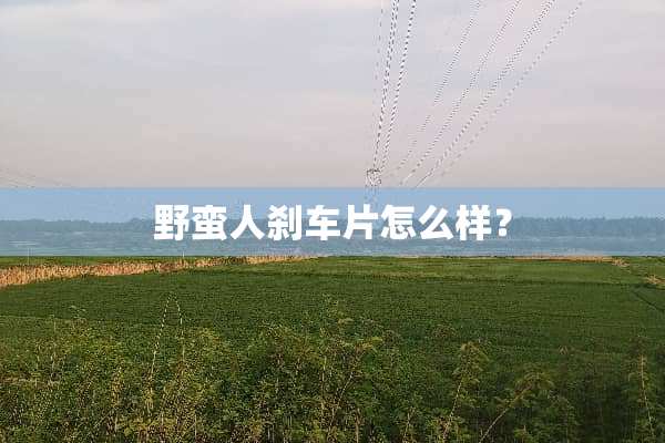 野蛮人刹车片怎么样？