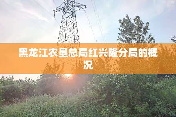 黑龙江农垦总局红兴隆分局的概况