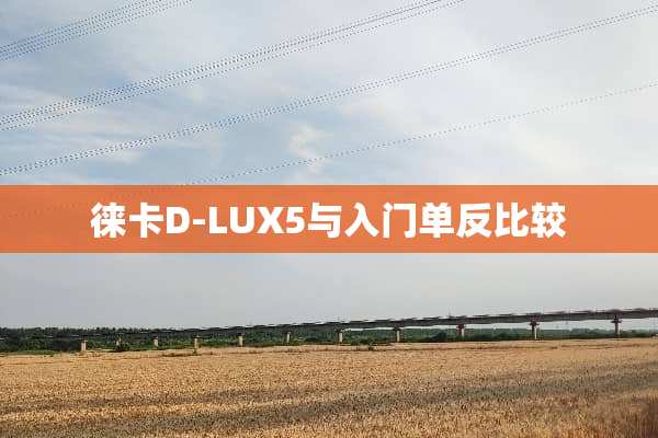 徕卡D-LUX5与入门单反比较