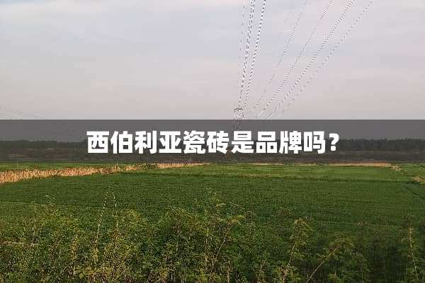 西伯利亚瓷砖是品牌吗？