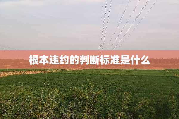 根本违约的判断标准是什么