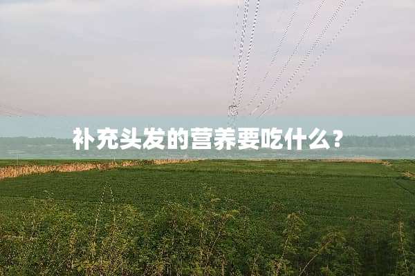 补充头发的营养要吃什么？