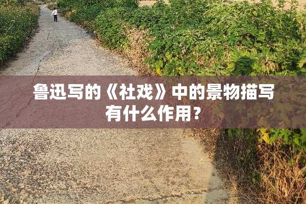 鲁迅写的《社戏》中的景物描写有什么作用？