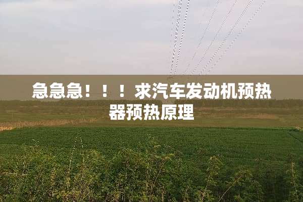 急急急！！！求汽车发动机预热器预热原理