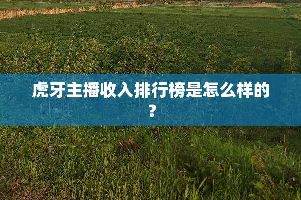 **主播收入排行榜是怎么样的？