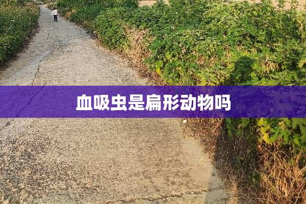 血吸虫是扁形动物吗