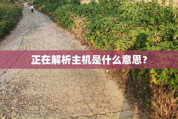 正在解析主机是什么意思？