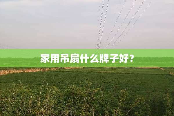 家用吊扇什么牌子好？