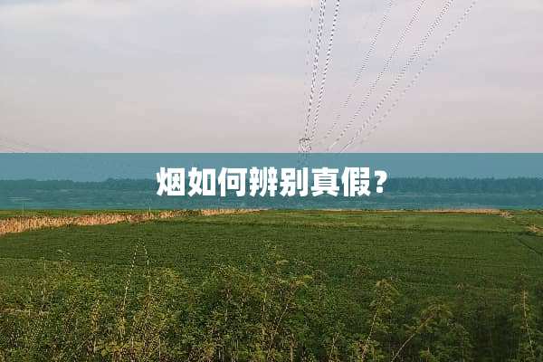 烟如何辨别真假？