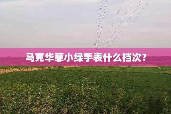 马克华菲小绿手表什么档次？
