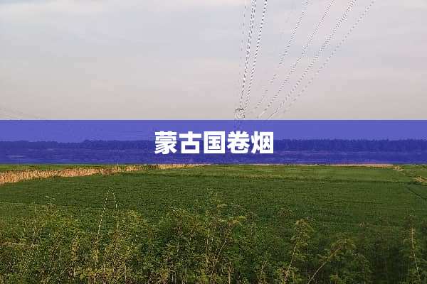 蒙古国卷烟