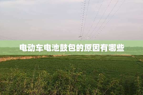 电动车电池鼓包的原因有哪些