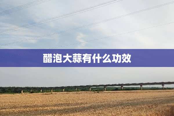 醋泡大蒜有什么功效