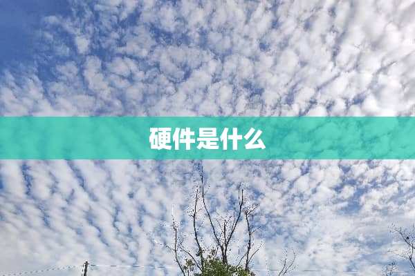 硬件是什么