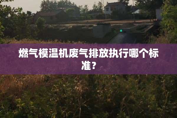 燃气模温机废气排放执行哪个标准？