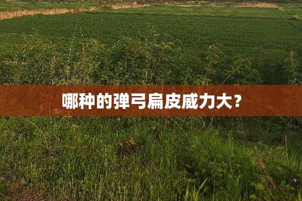 哪种的弹弓扁皮威力大？
