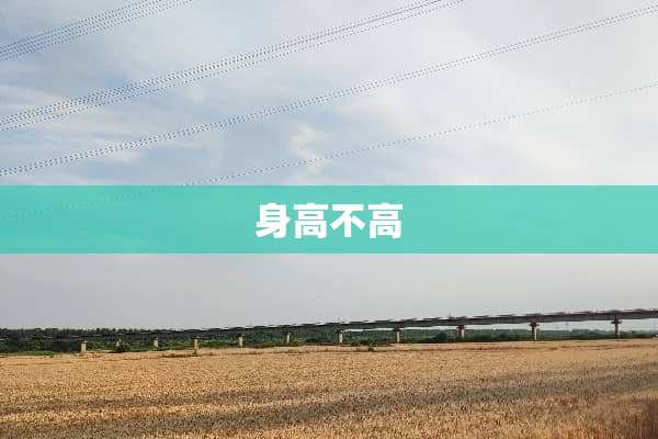 身高不高
