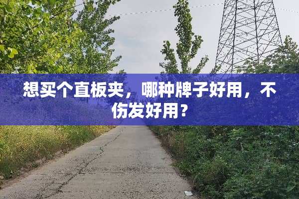 想买个直板夹，哪种牌子好用，不伤发好用？