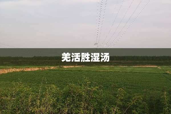 羌活胜湿汤